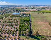 Finca in Los Montesinos (40)