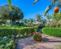 Finca in Los Montesinos (42)