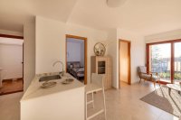 Apartment in Avileses (10)