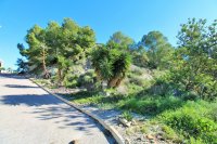 Plot in San Miguel de Salinas (2)