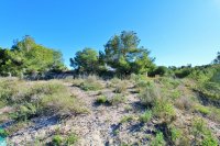 Plot in San Miguel de Salinas (3)
