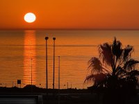 Apartment in Playa Flamenca (34)