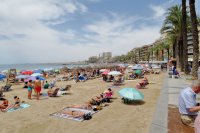Apartment in Playa Flamenca (35)