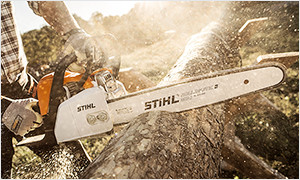 Promotion Image