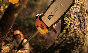 Promotion Image