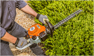 HS 45 Hedge Trimmer Special Offer