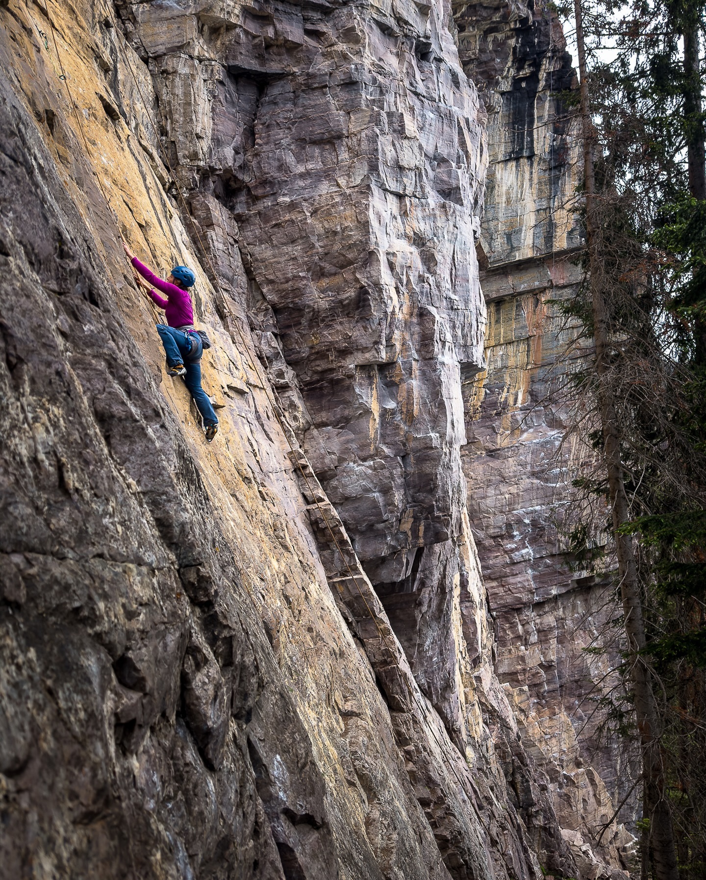 Introduction to Rock Climbing with Alpine Air Adventures gallery 5