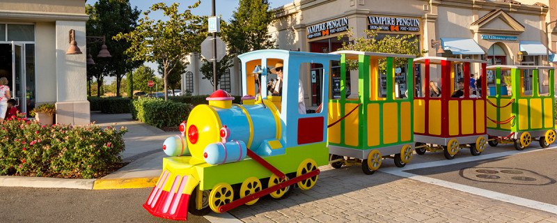 Trackless Train