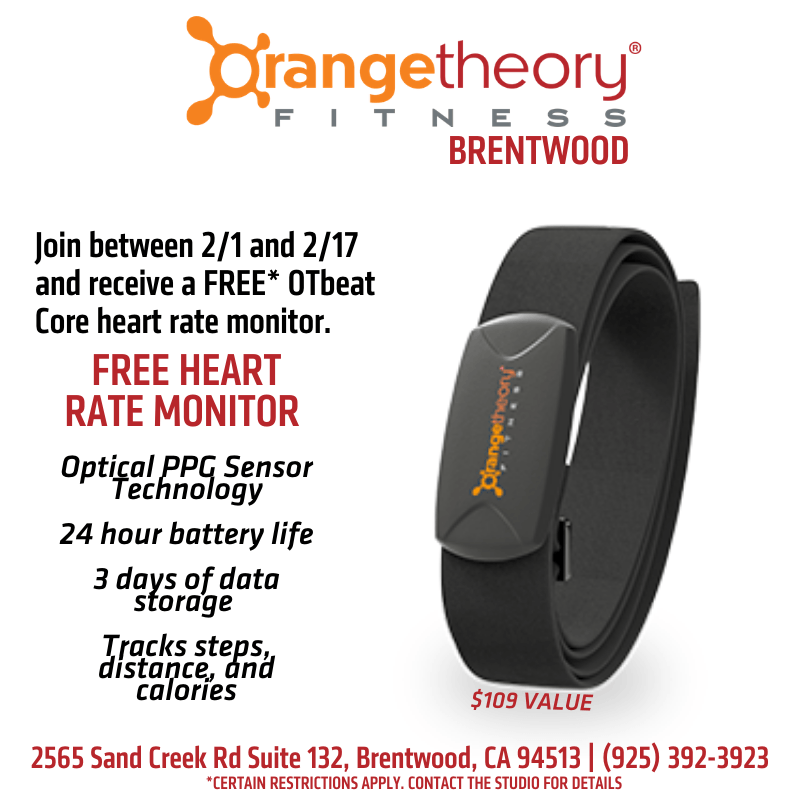 Free Heart Rate Monitor
