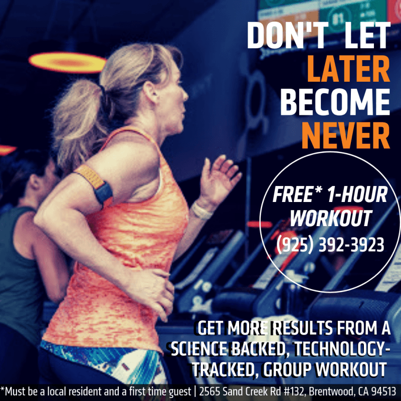 Try us for Free!