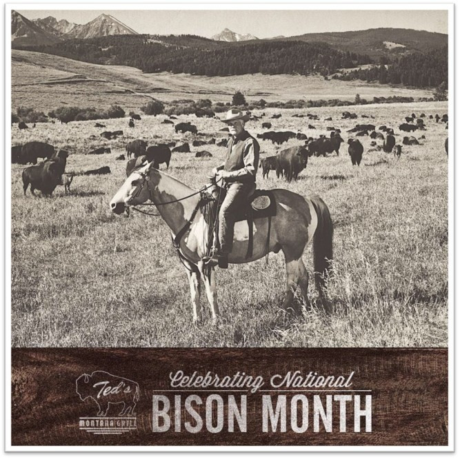 Sale fromTed's Montana Grill: National Bison Month