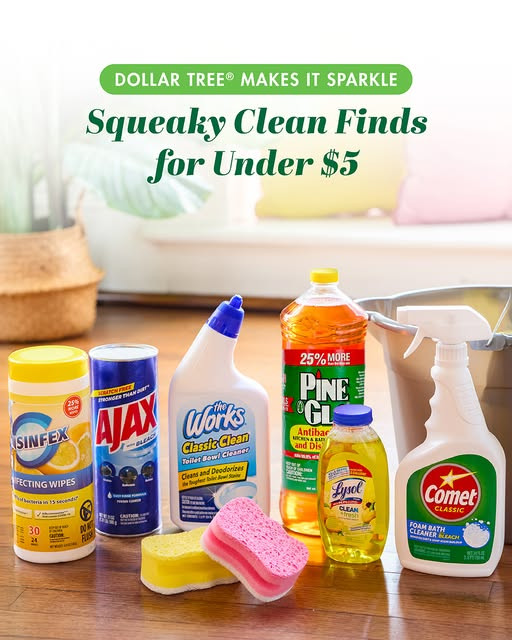 Sale fromDollar Tree: Cleaning Essentials