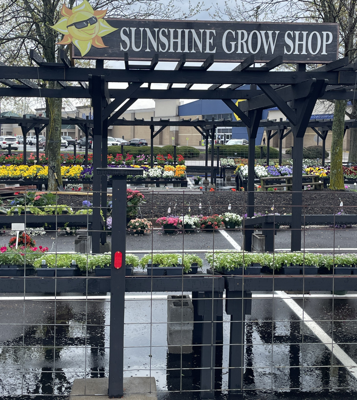 Sunshine Grow Shop