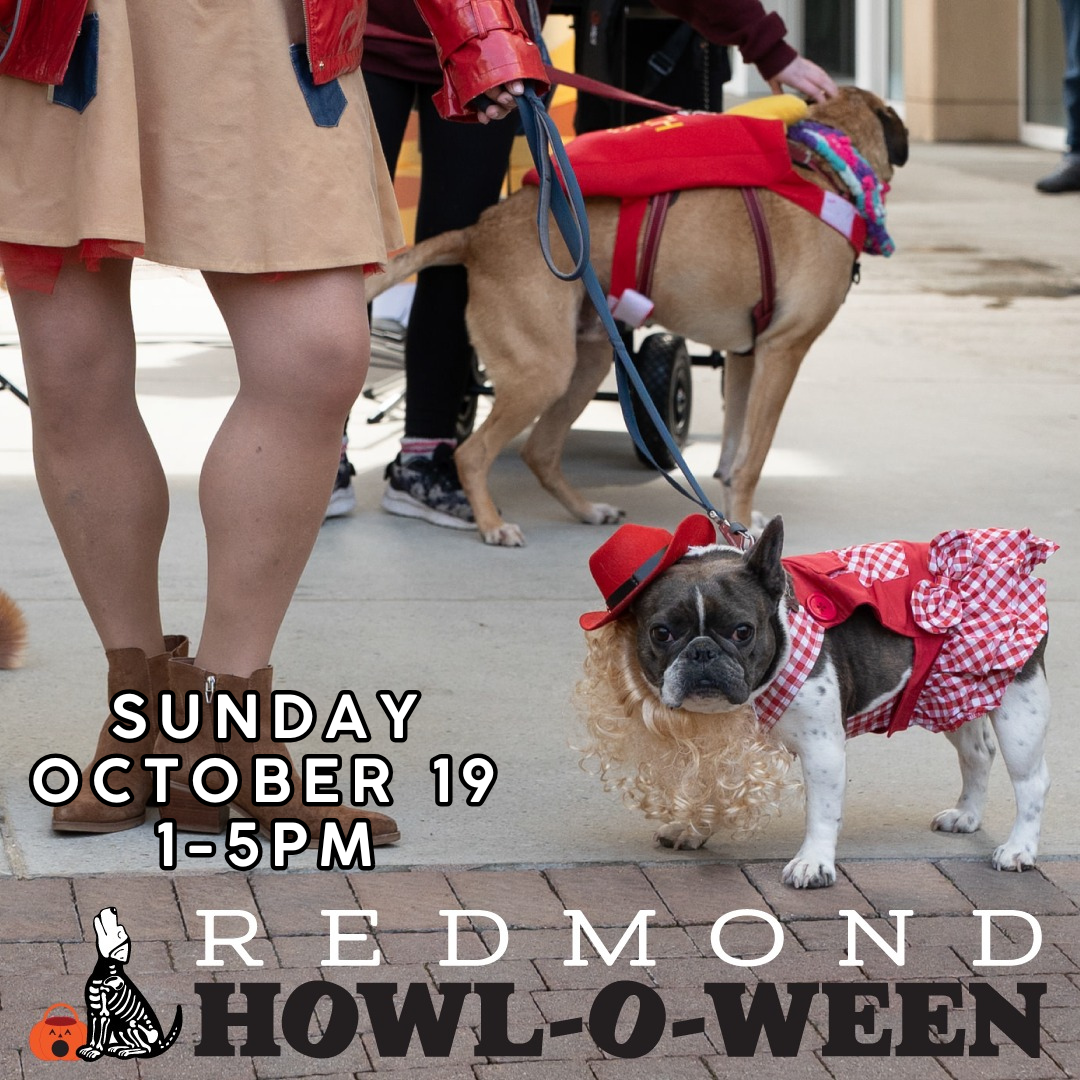Redmond Howl-O-Ween
