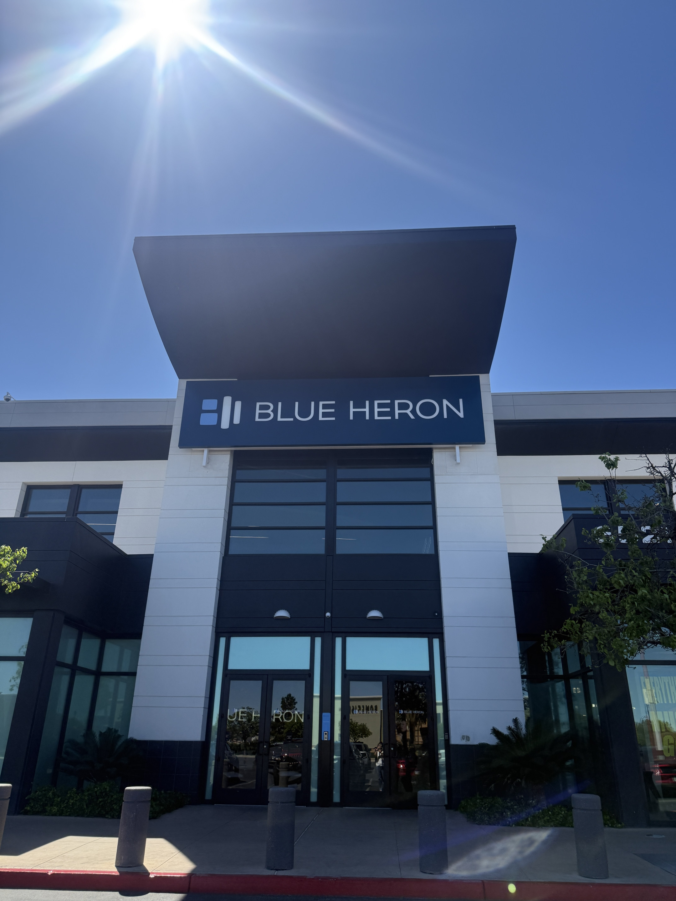 Blue Heron