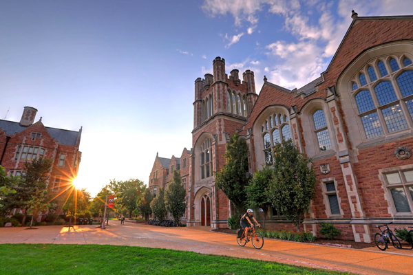 Washington University in St. Louis