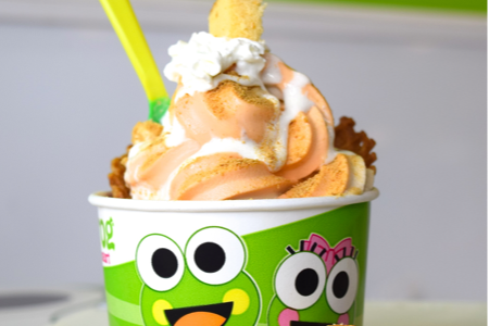 Sweet Frog Frozen Yogurt