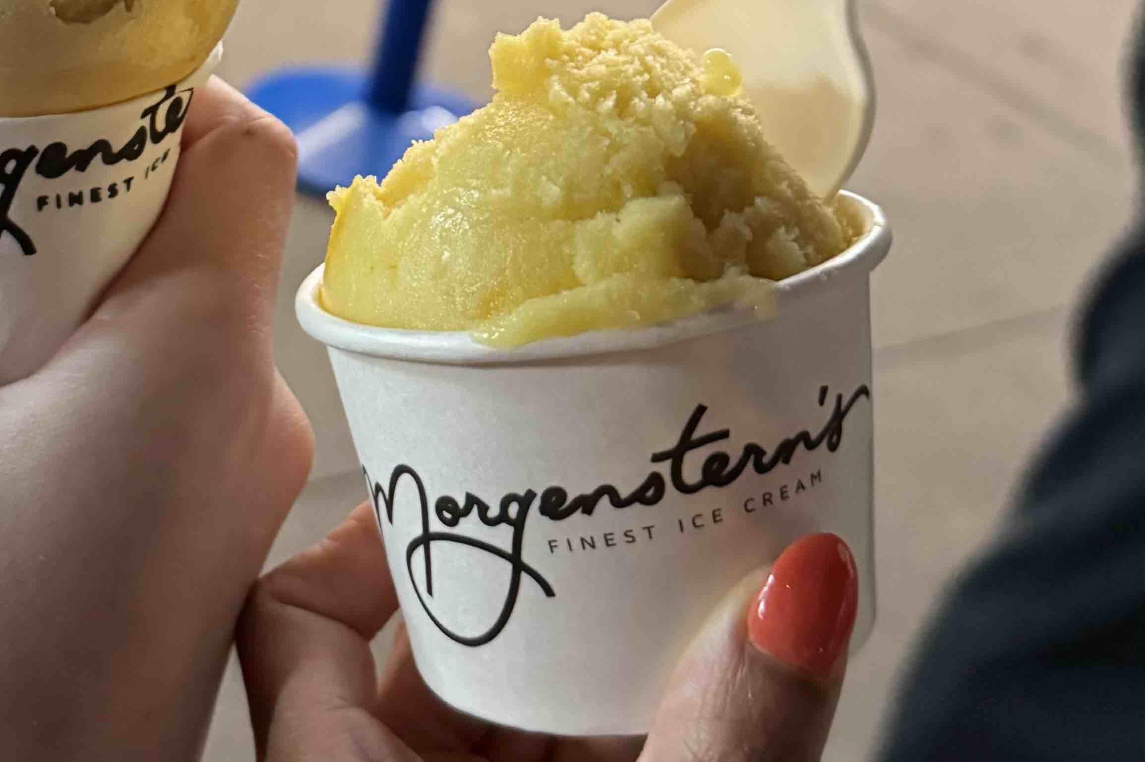 Morgenstern’s Finest Ice Cream