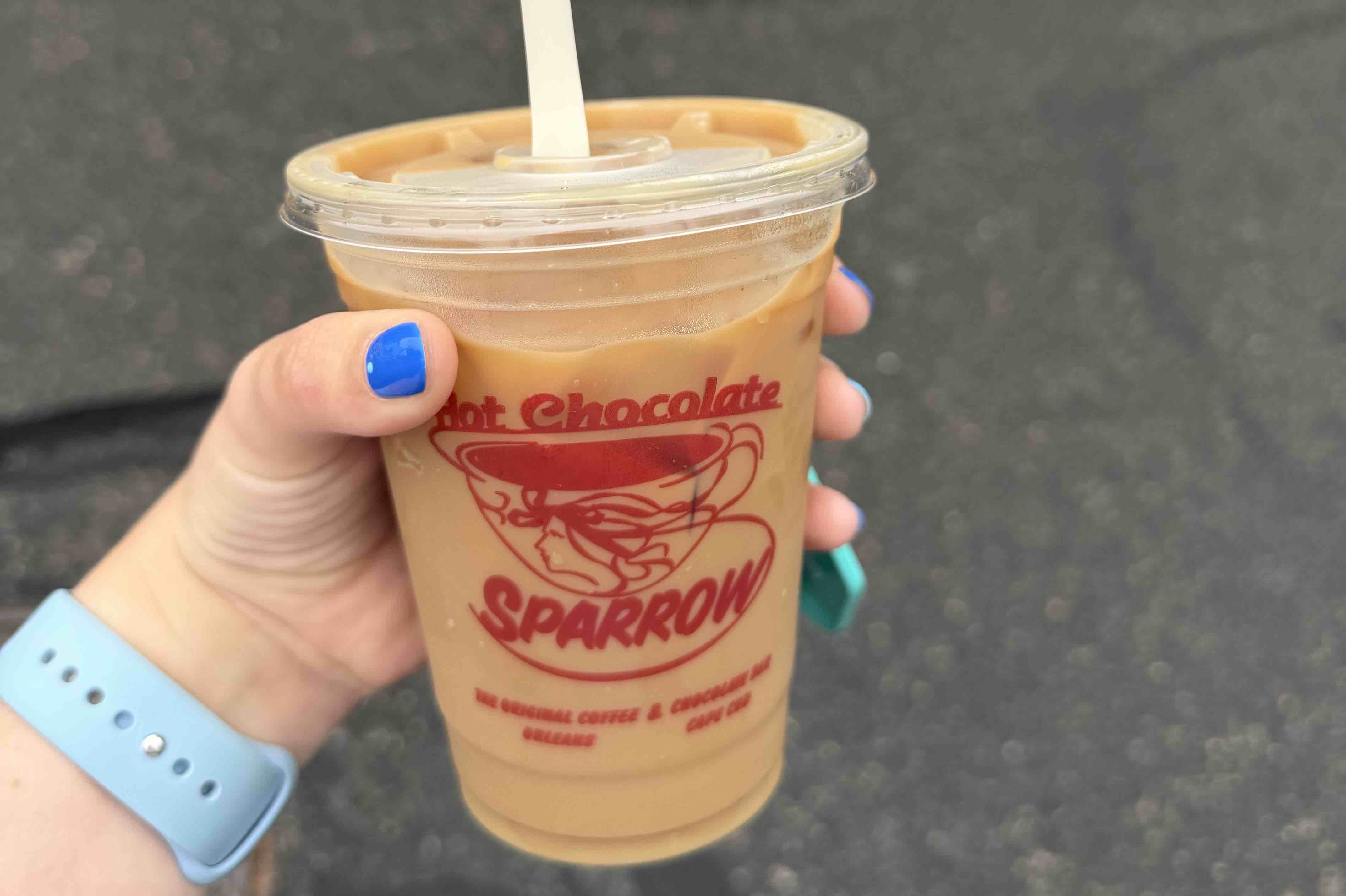 Hot Chocolate Sparrow