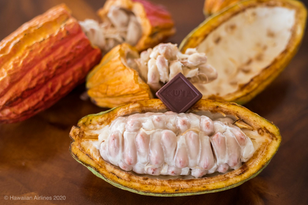 Maui Ku'ia Estate Chocolate