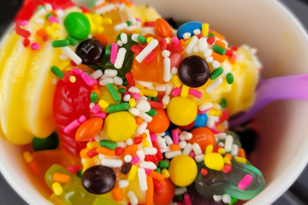 FroGurt Frozen Yogurt