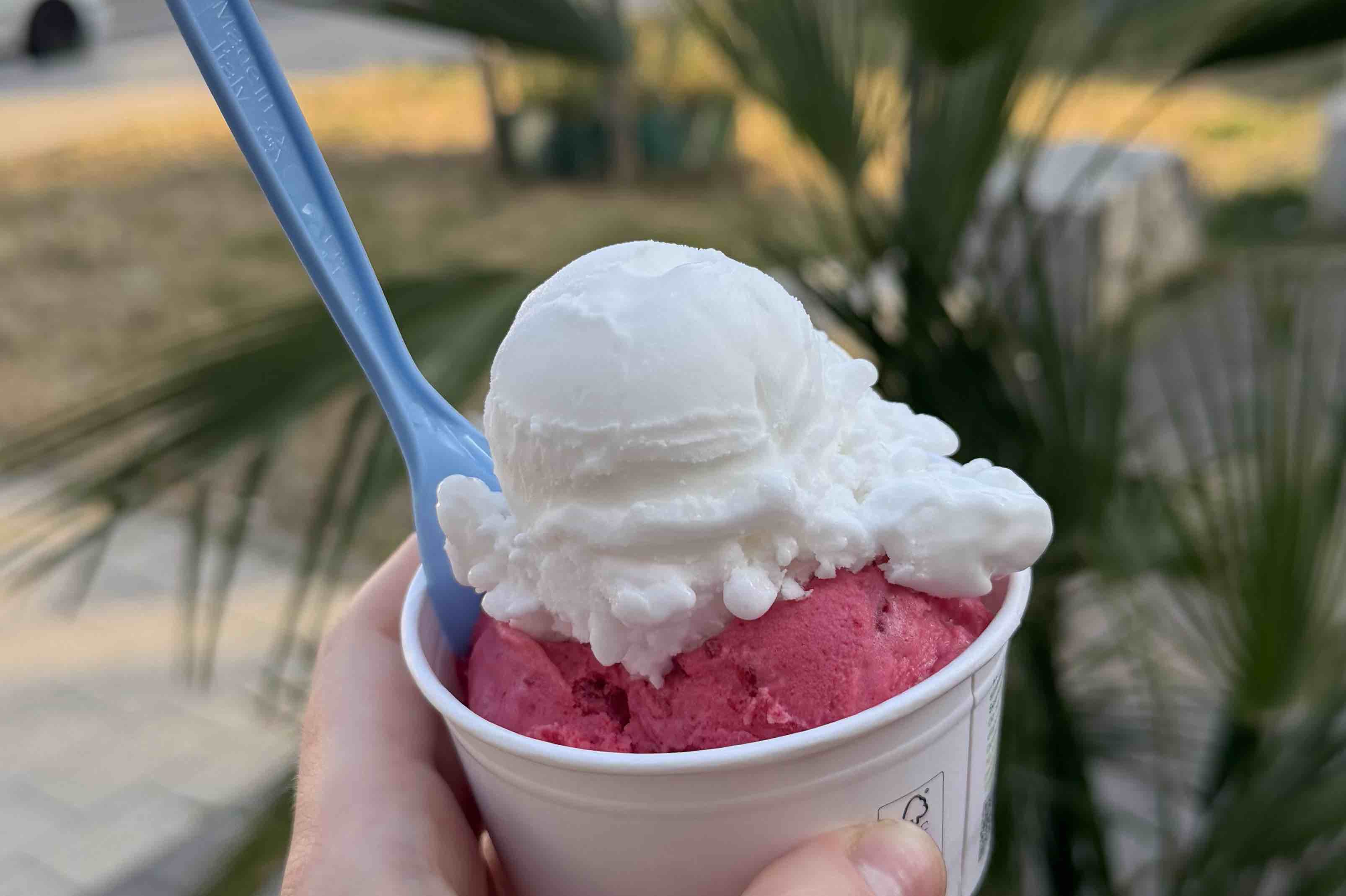 Eis Venezia