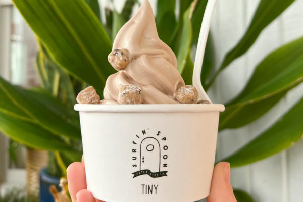 Surfin' Spoon Frozen Yogurt Bar