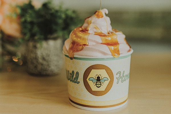 Wild Honey Frozen Yogurt