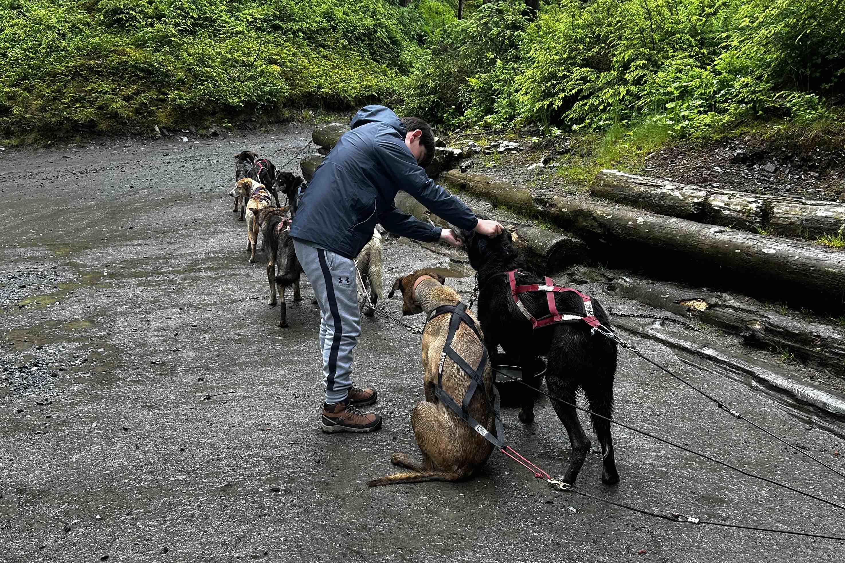 Sled Dog Discovery & Musher's Camp® in Juneau Alaska