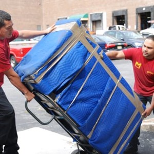 The 8 Best Port Charlotte Movers Hireahelper