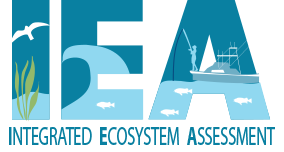 Gulf of Mexico IEA 