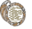 Pycopia