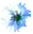 Graphiclious