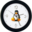 img avatar