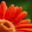 java-image-scaling