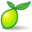 LimeSurvey