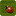 coccigrep
