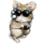 img avatar