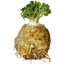 Celeriac: .NET Front-End for Daikon