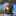 img avatar
