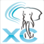 Postgres-XC