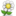 img avatar