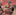 img avatar