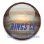 ringsce Editor