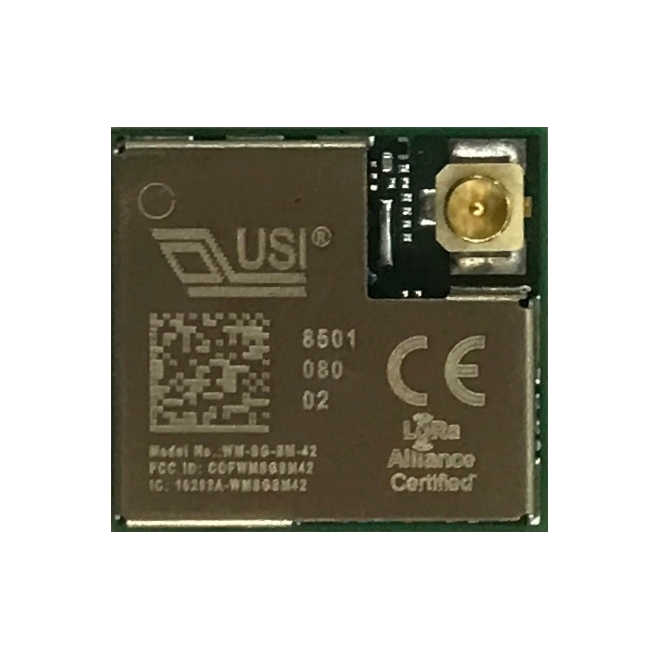 WM-SG-SM-42