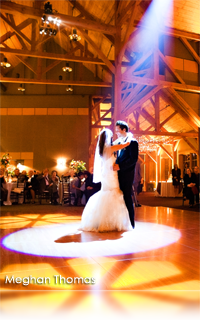 Visa Versa Lighting Shown