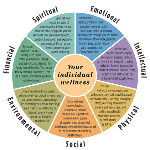 The Best Strategy To Use For Holistic Doctor Springfield Mo