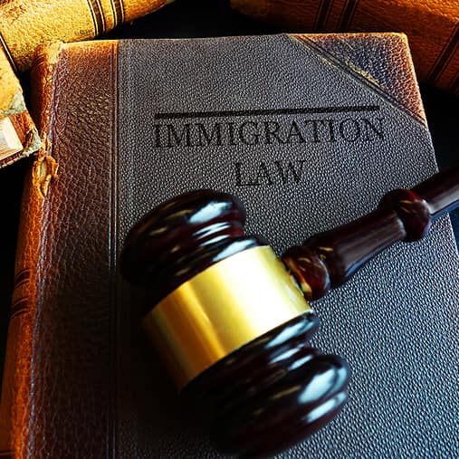 The Cost of Immigration Legal Services: Understanding Fee Structures