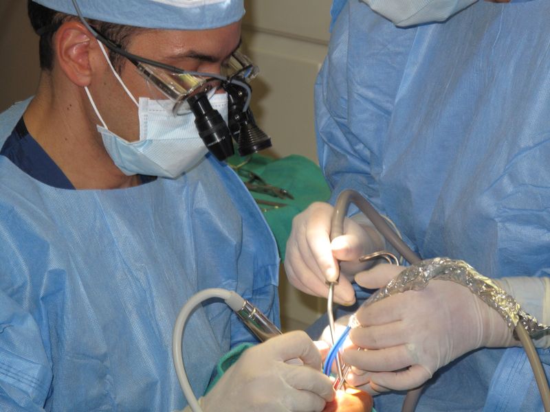 Top 10 Best Dentists New Orleans Things To Know Before You Get This