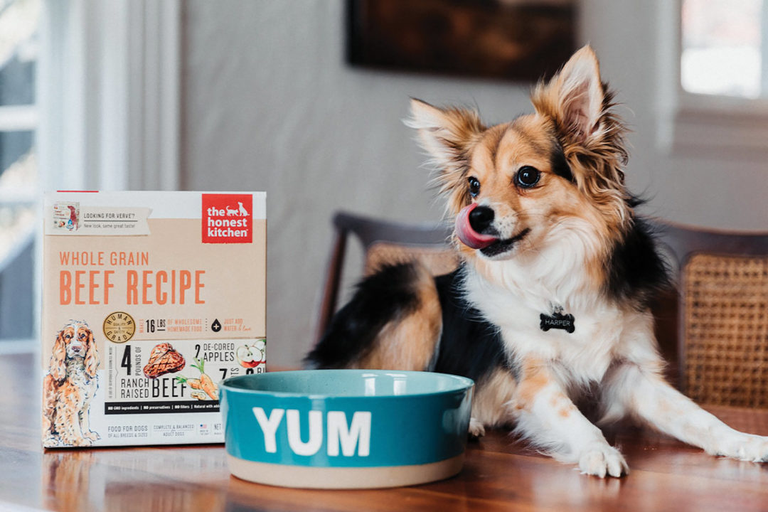 Bargain Avenue Animals & Pets Things To Know Before You Buy